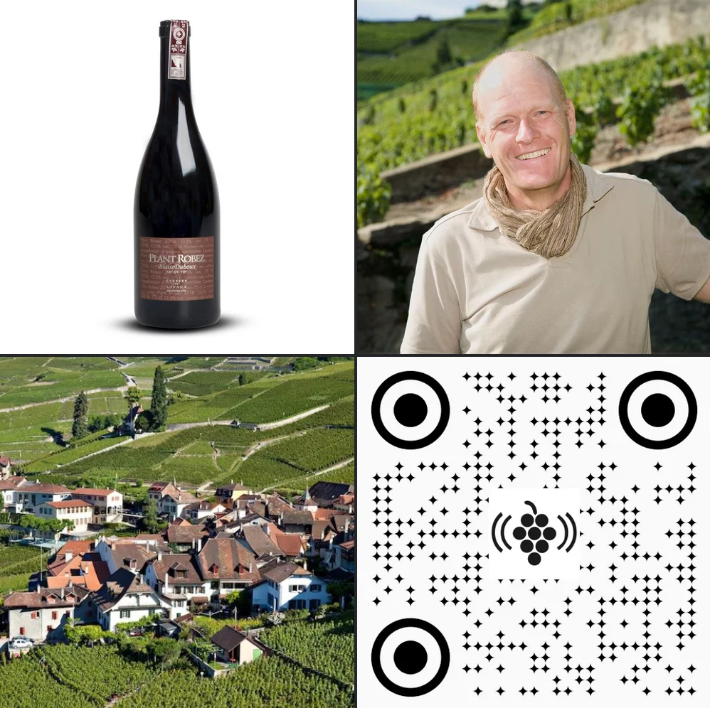 Podcast Plant Robez, Blaise Duboux