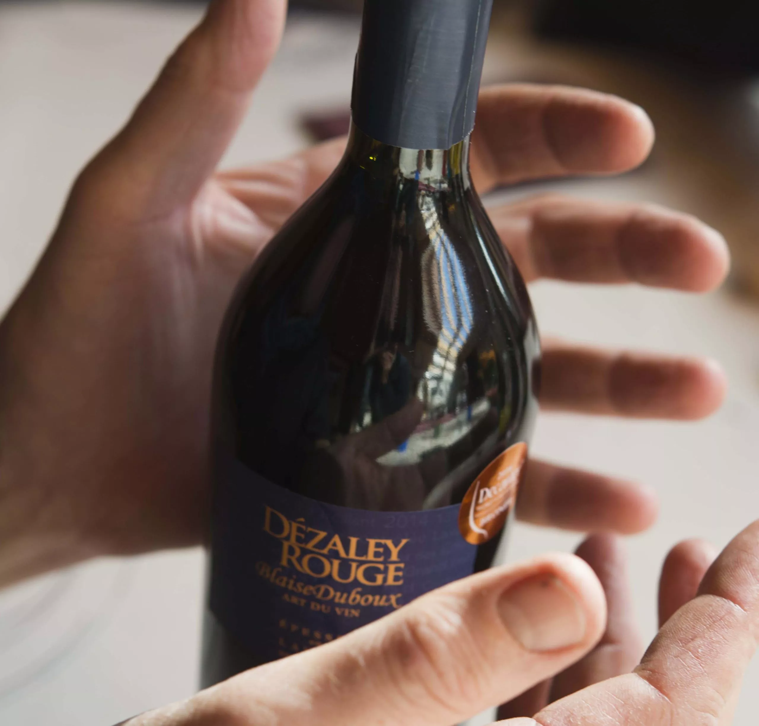 Weinlese, Vendage Blaise Duboux Assemblage rouge Le Treillant, Domaine Blaise Duboux/Weinweltfoto